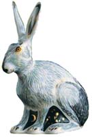 Hare