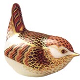 Derby Wren